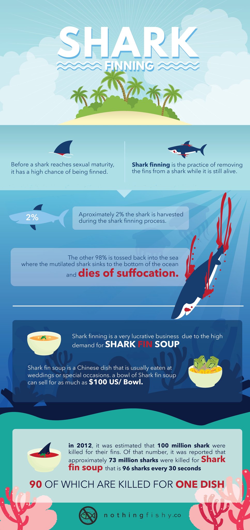 infographic-shark-finning-the-facts-behind-the-cruelty